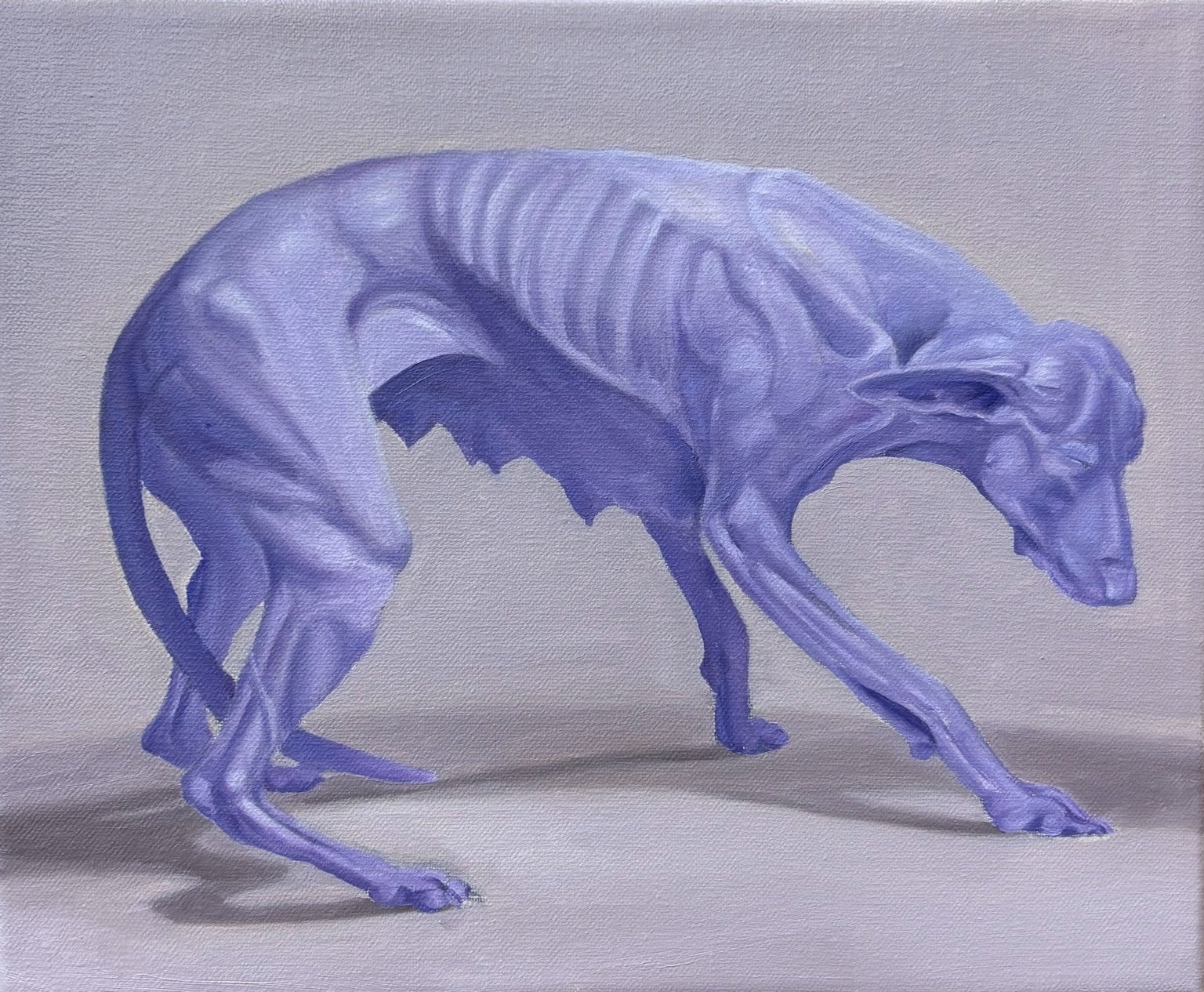 Perro Morado